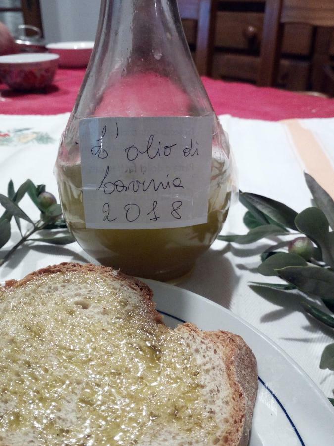 A Casa Di Lavinia Lägenhet Quarrata Exteriör bild